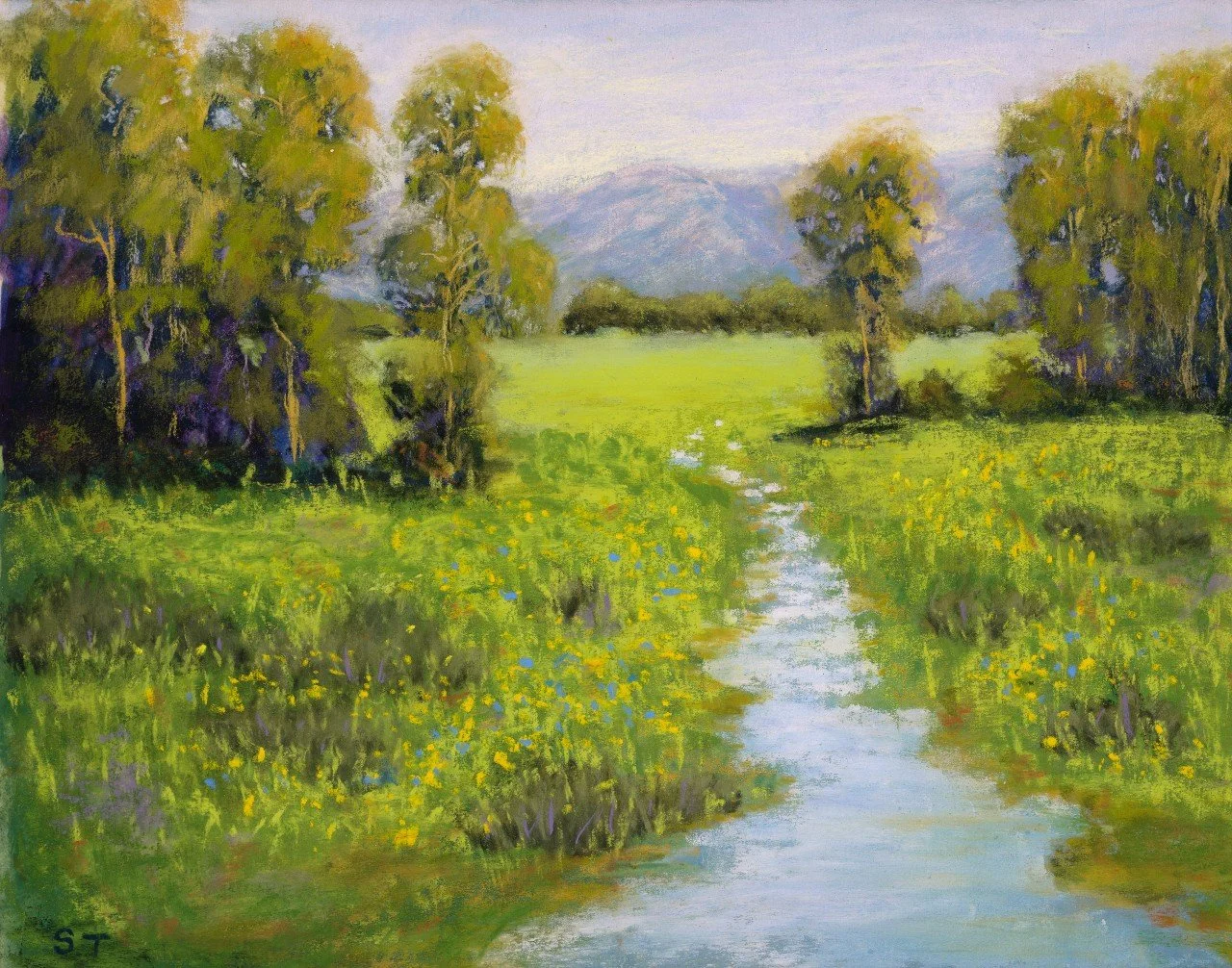 Meandering Stream