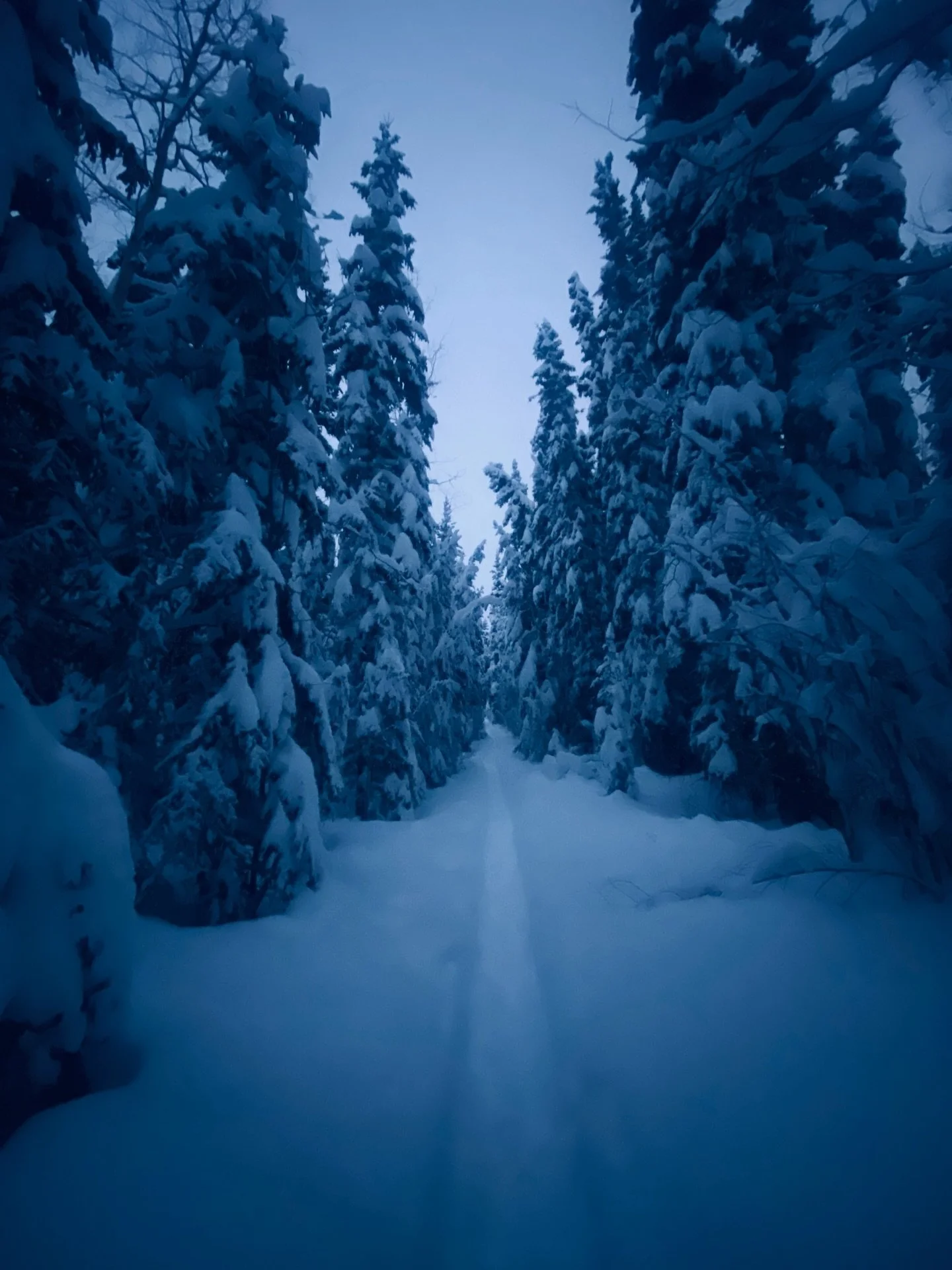 Held by her, always.
reliably and without conditions
Especially when holding
feels scarce