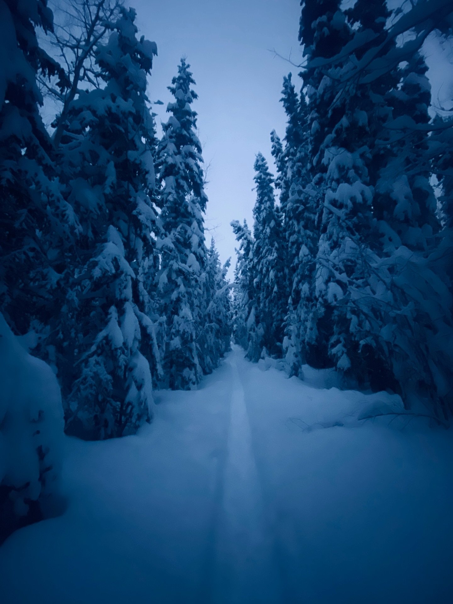 Held by her, always.
reliably and without conditions
Especially when holding
feels scarce