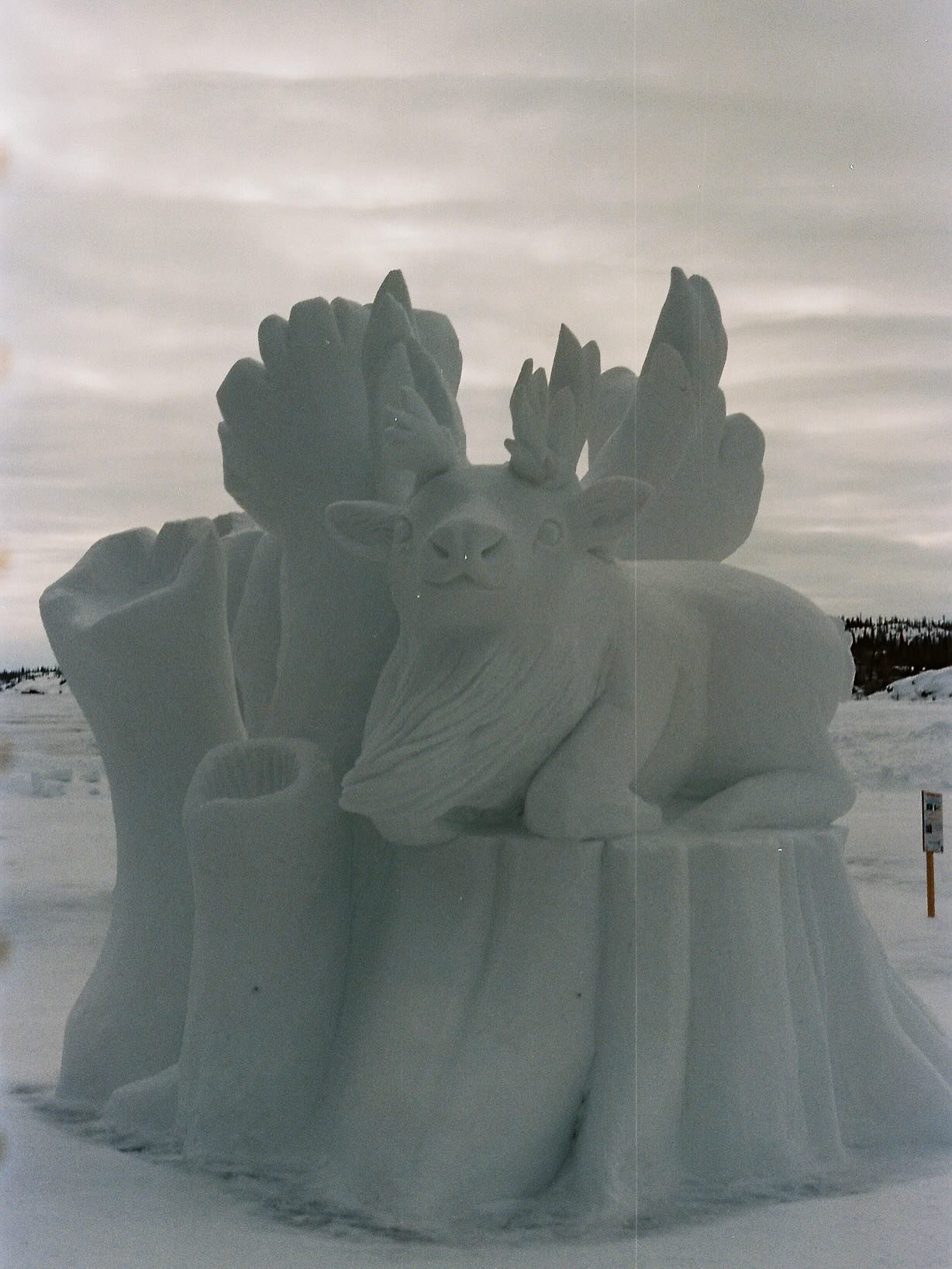 Old film from @snowking_yk