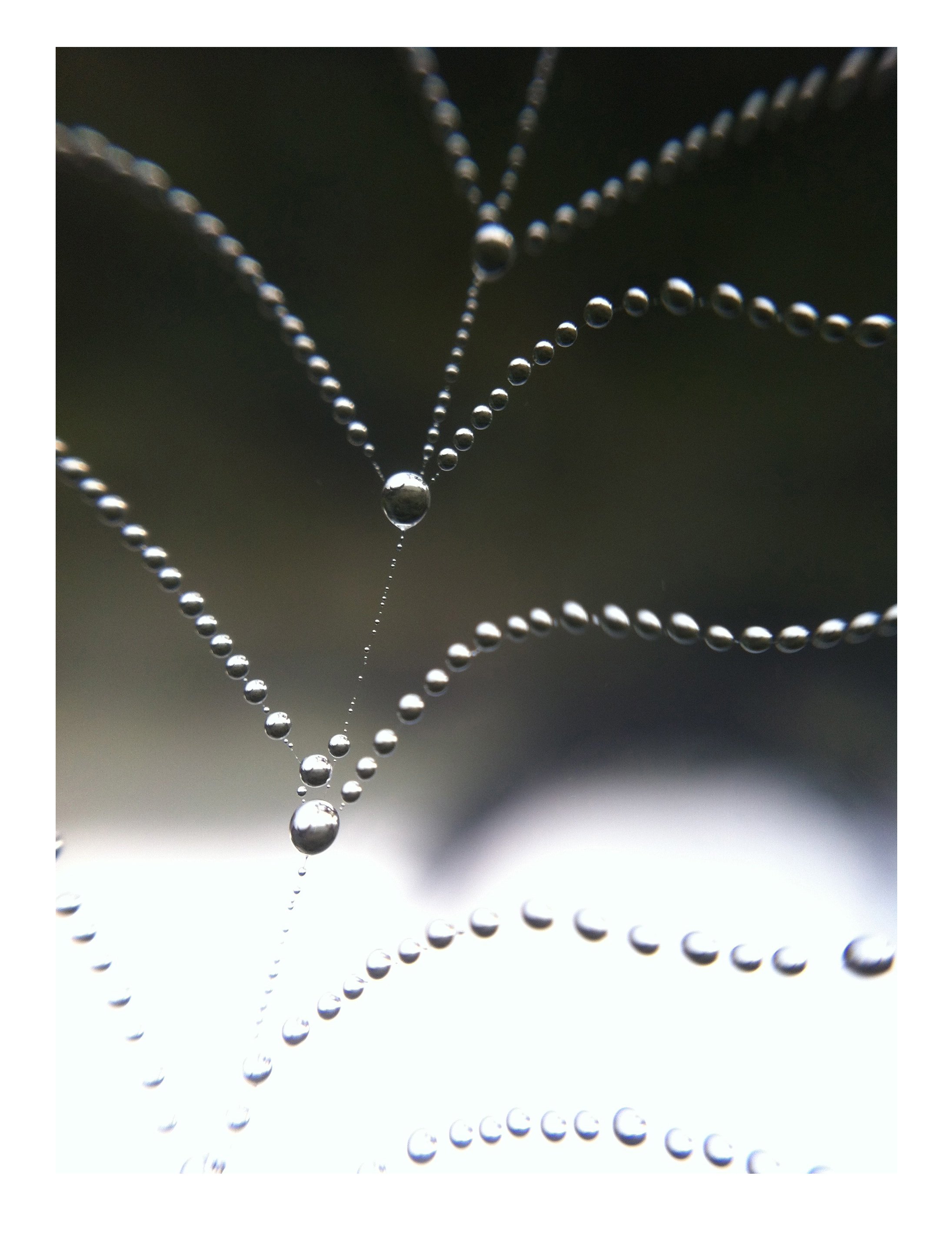 'WATER DROPLETS'