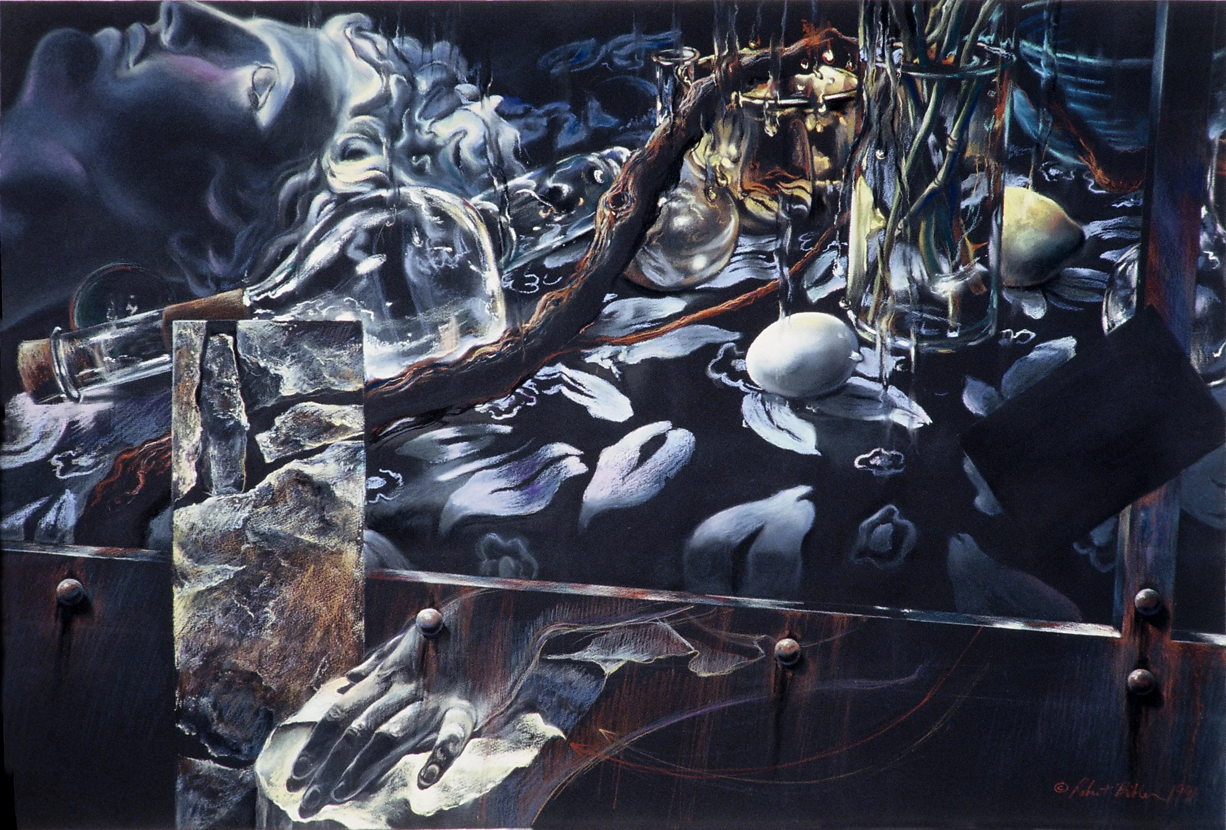 The Vine / 1991 / Pastel drawing on black paper / 30" x 44.5"  / Private Collection