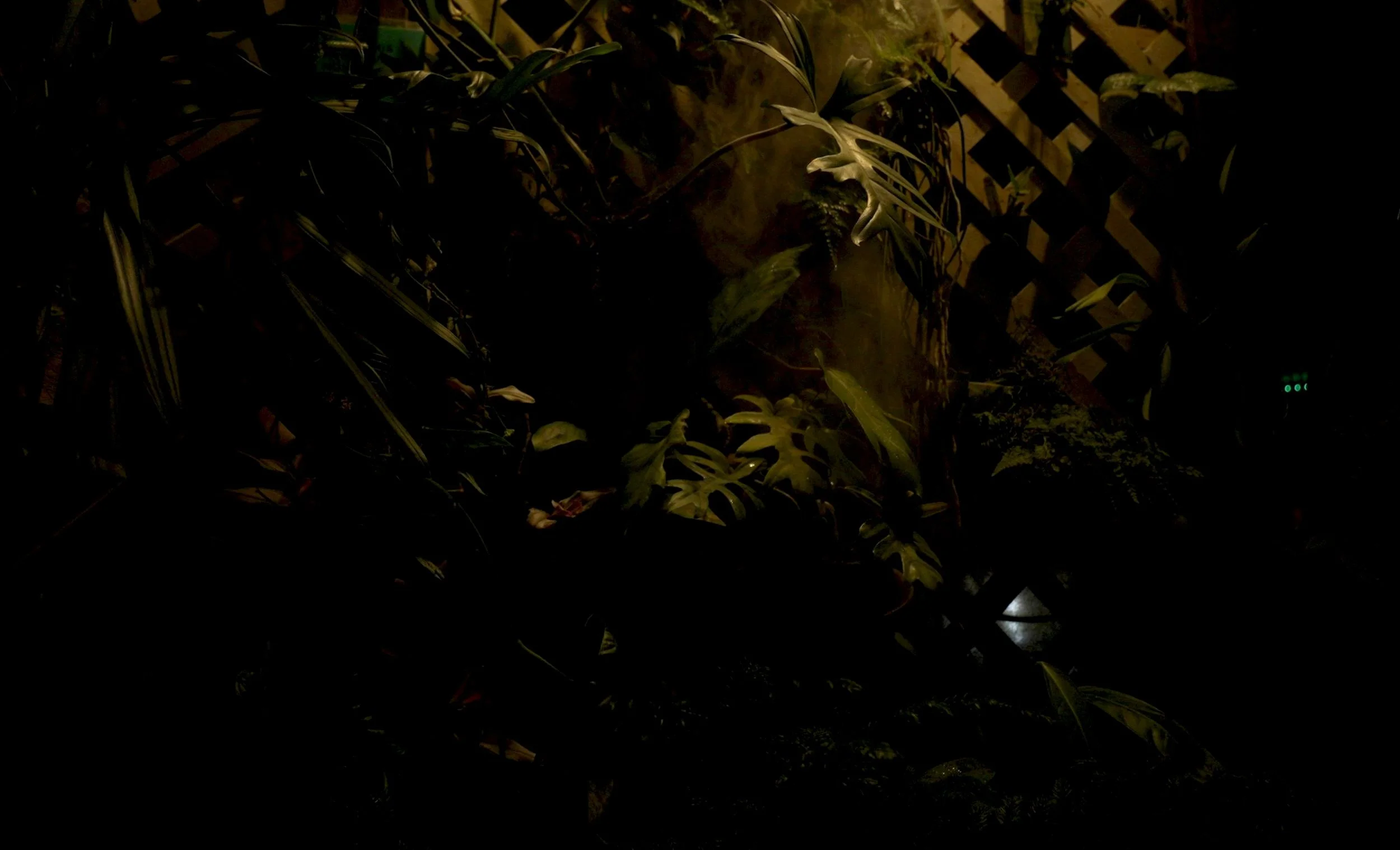 Screen%2BShot%2B2023-03-21%2Bat%2B7.02.00%2BPM.jpg