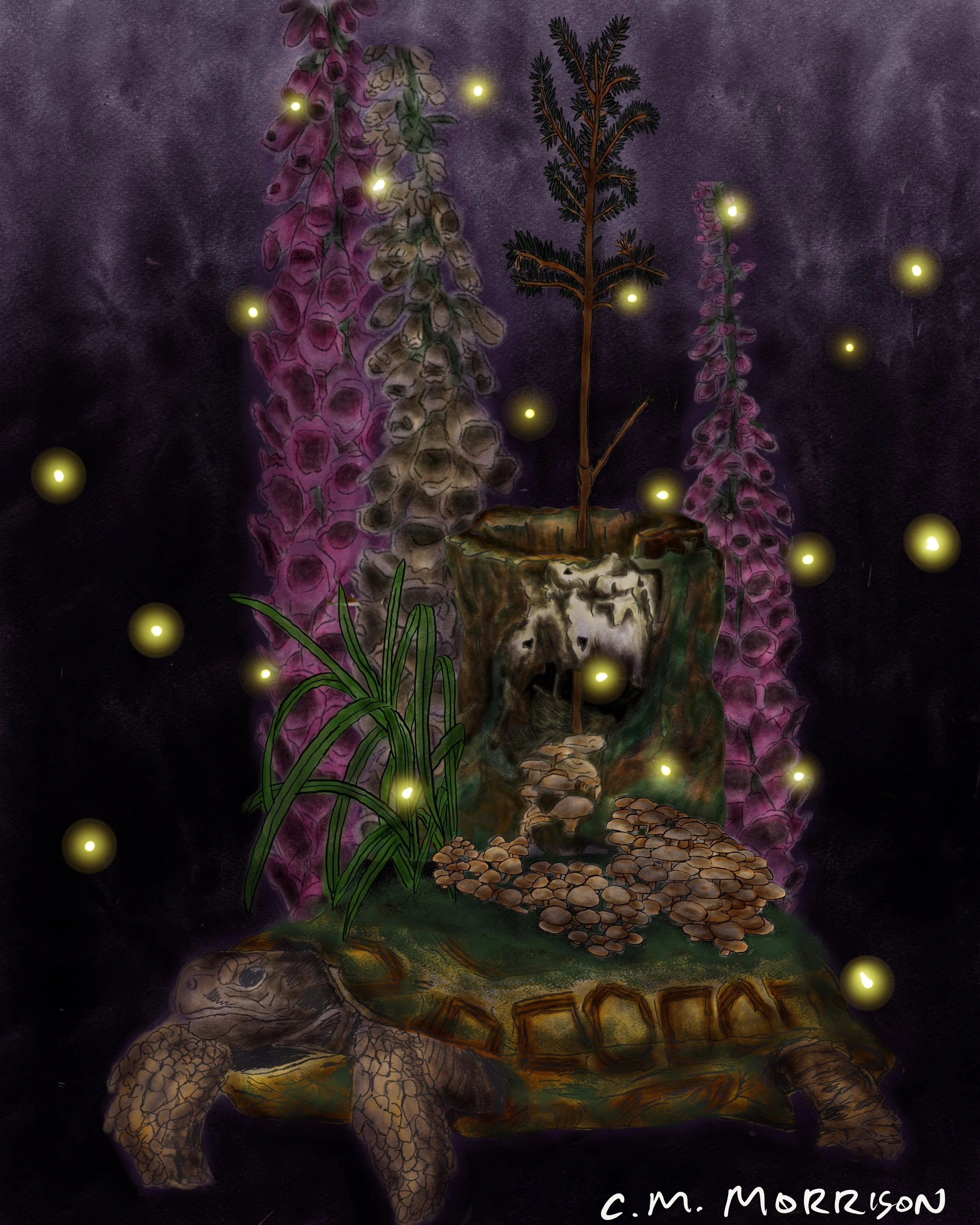 Untitled_Artwork 2.jpg