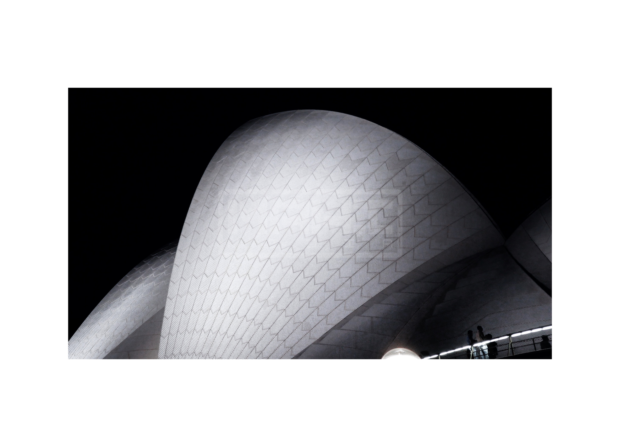NSW - OPERA01 BLACK AND WHITE .png