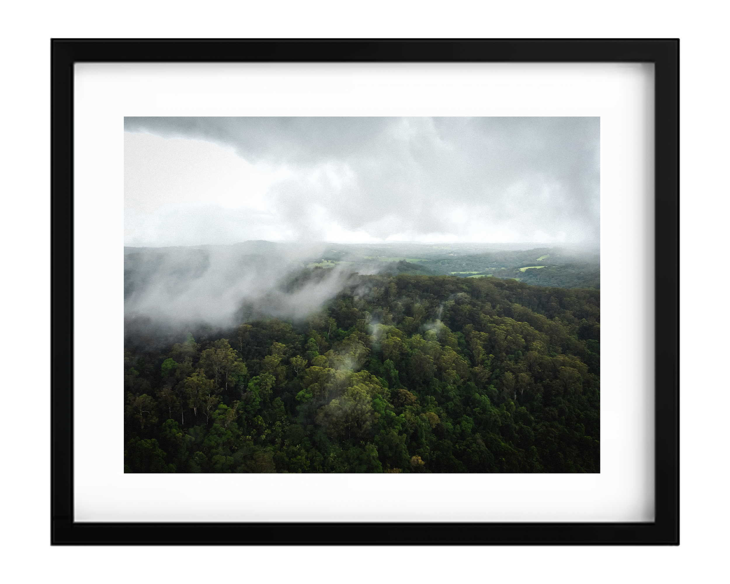NSW - FOGGY FORREST 2.png