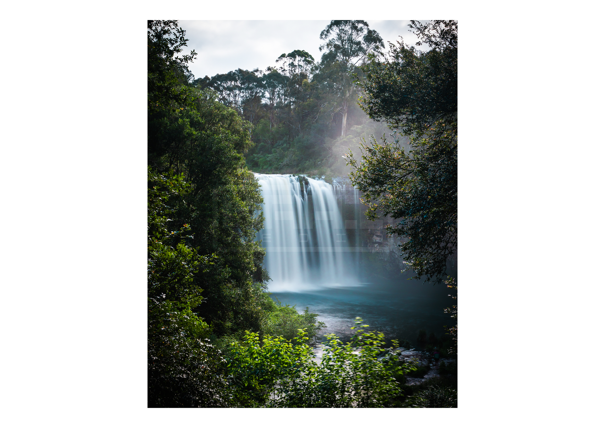 NSW - DANGAR FALLS .png