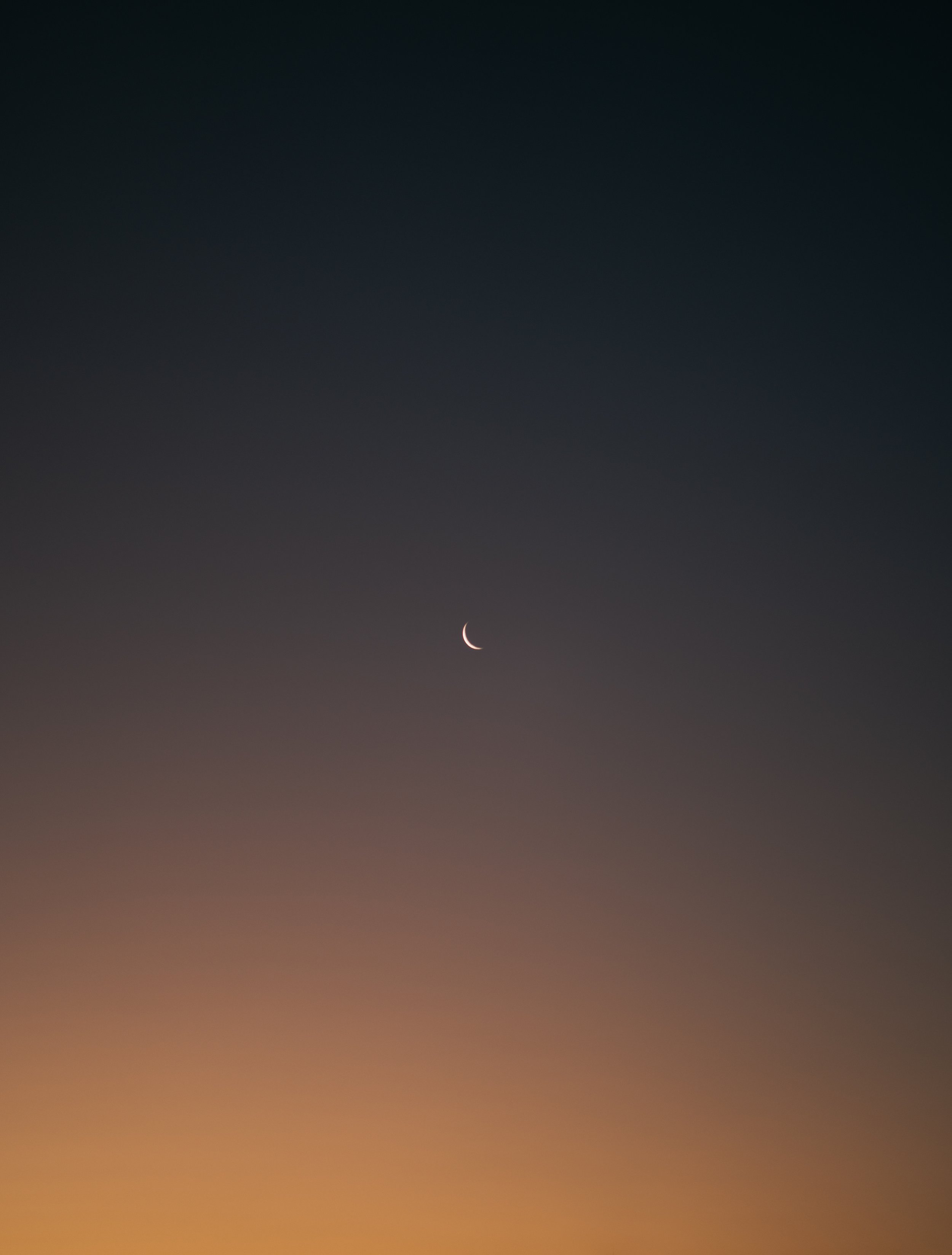 NAT06374.jpg