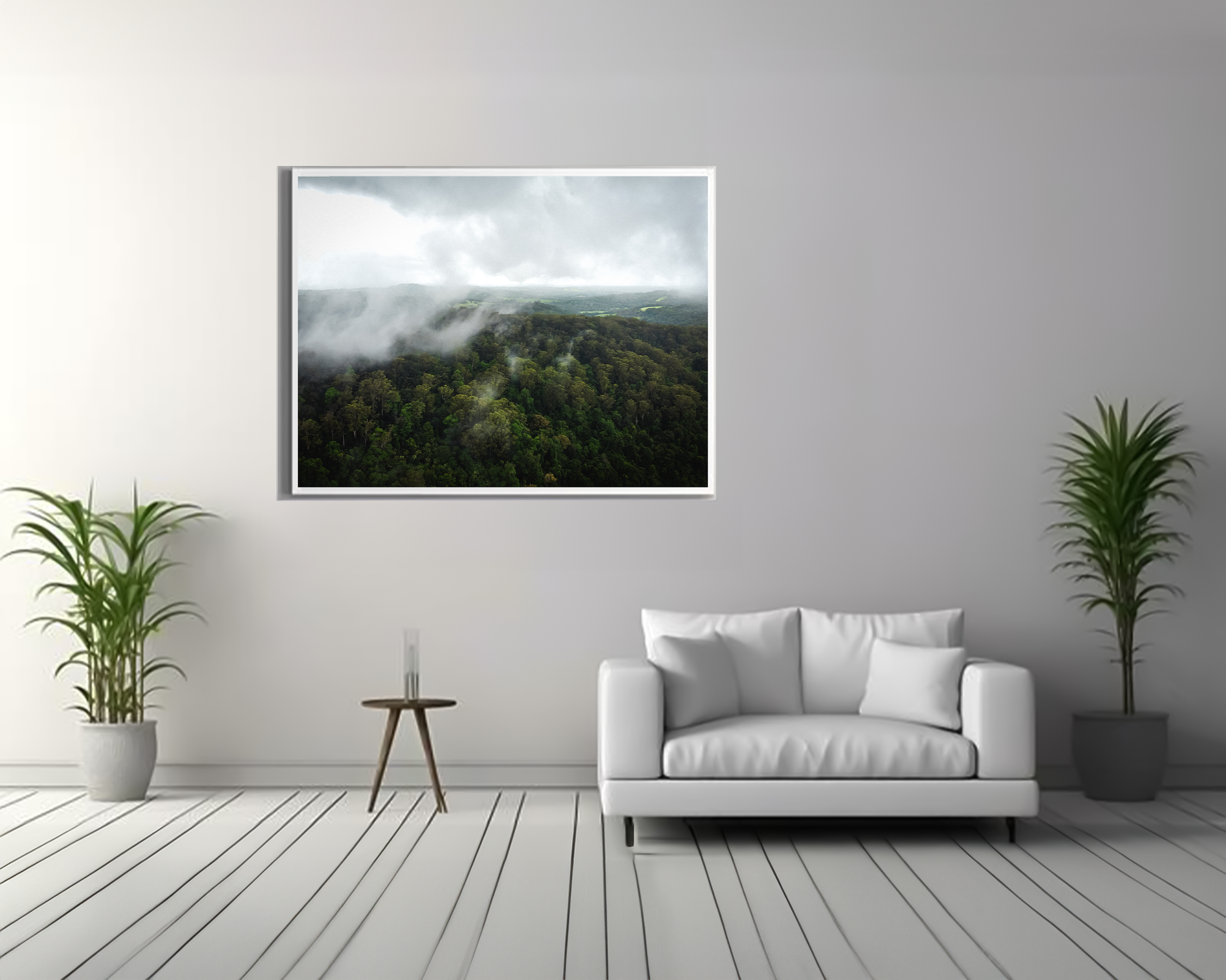 NSW - FOGGY FORREST 3.png