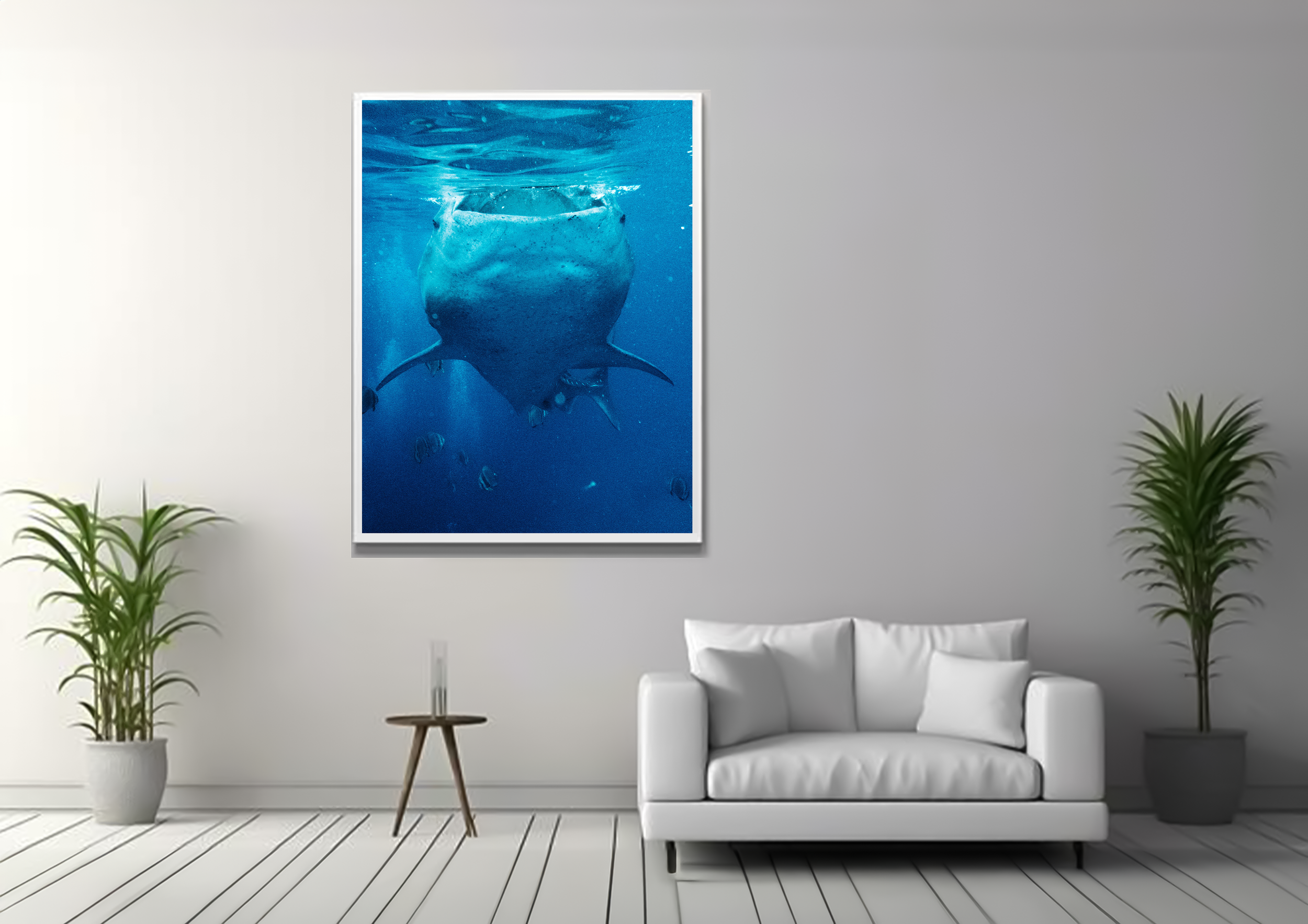 WHALE SHARK 1 2.png