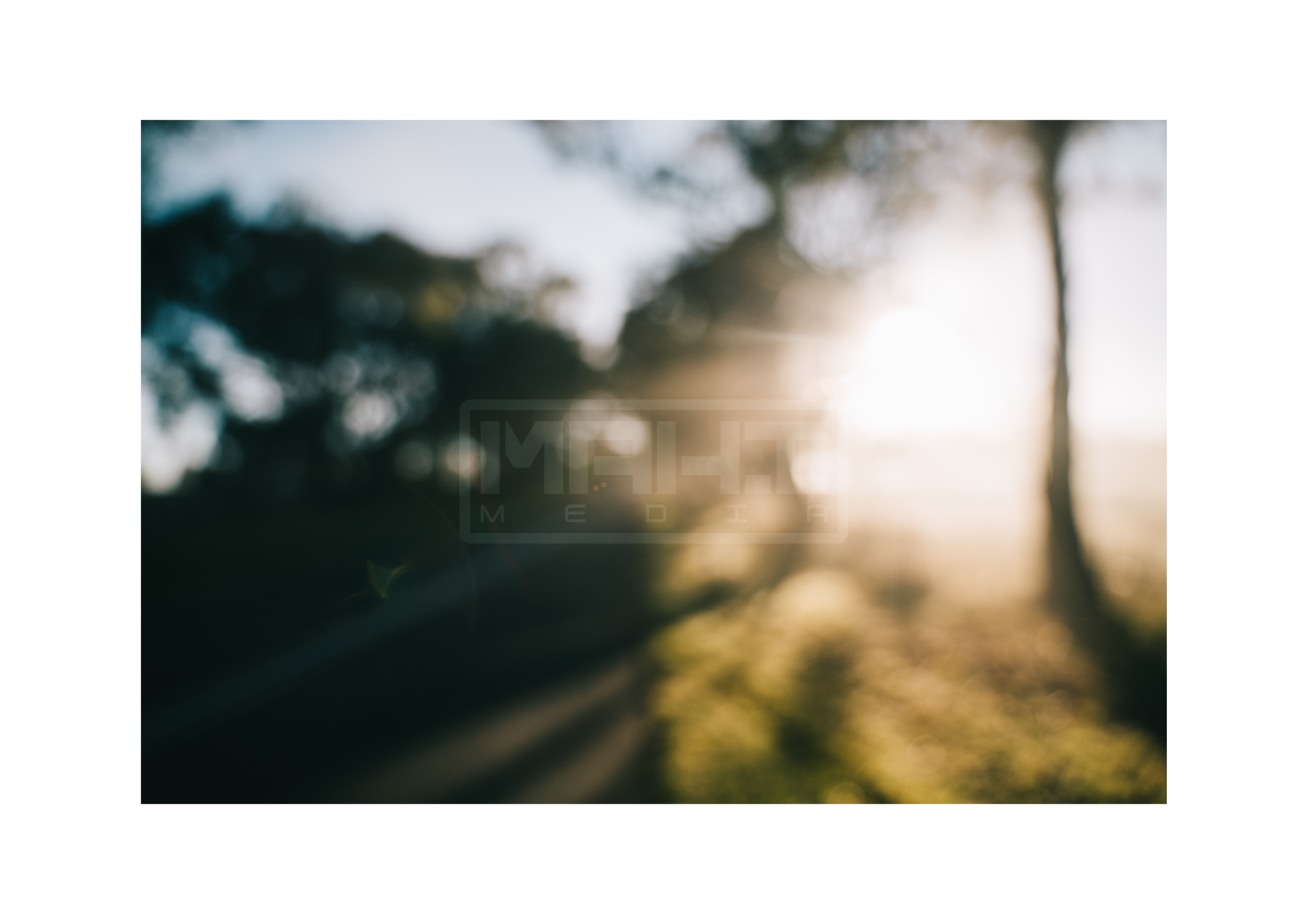 NSW - CRISPY MORNING .png