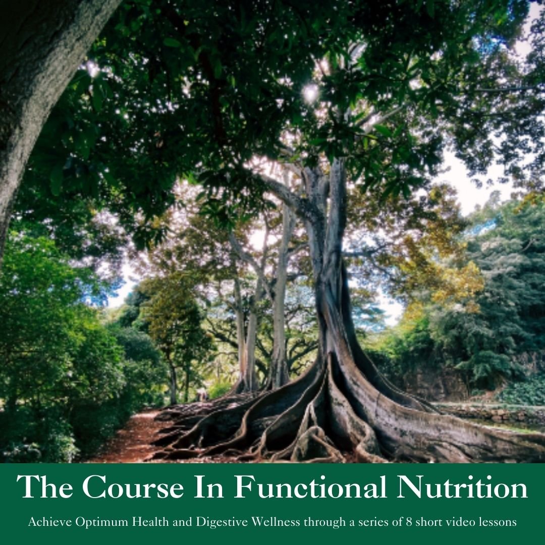 Course In Functional Nutrition Thumbnail.jpg