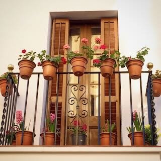 IMG_5861.jpeg