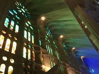 IMG_5731.jpeg