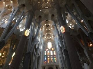 IMG_5729.jpeg