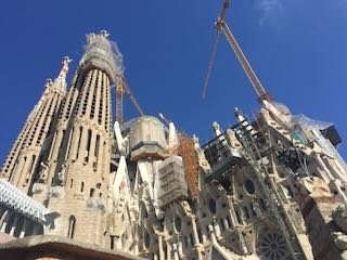 IMG_5456.jpeg