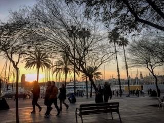 IMG_5439.jpeg