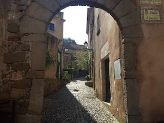 IMG_5306.jpeg