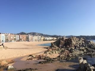 IMG_5270.jpeg