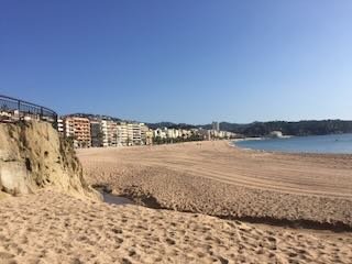 IMG_5266.jpeg