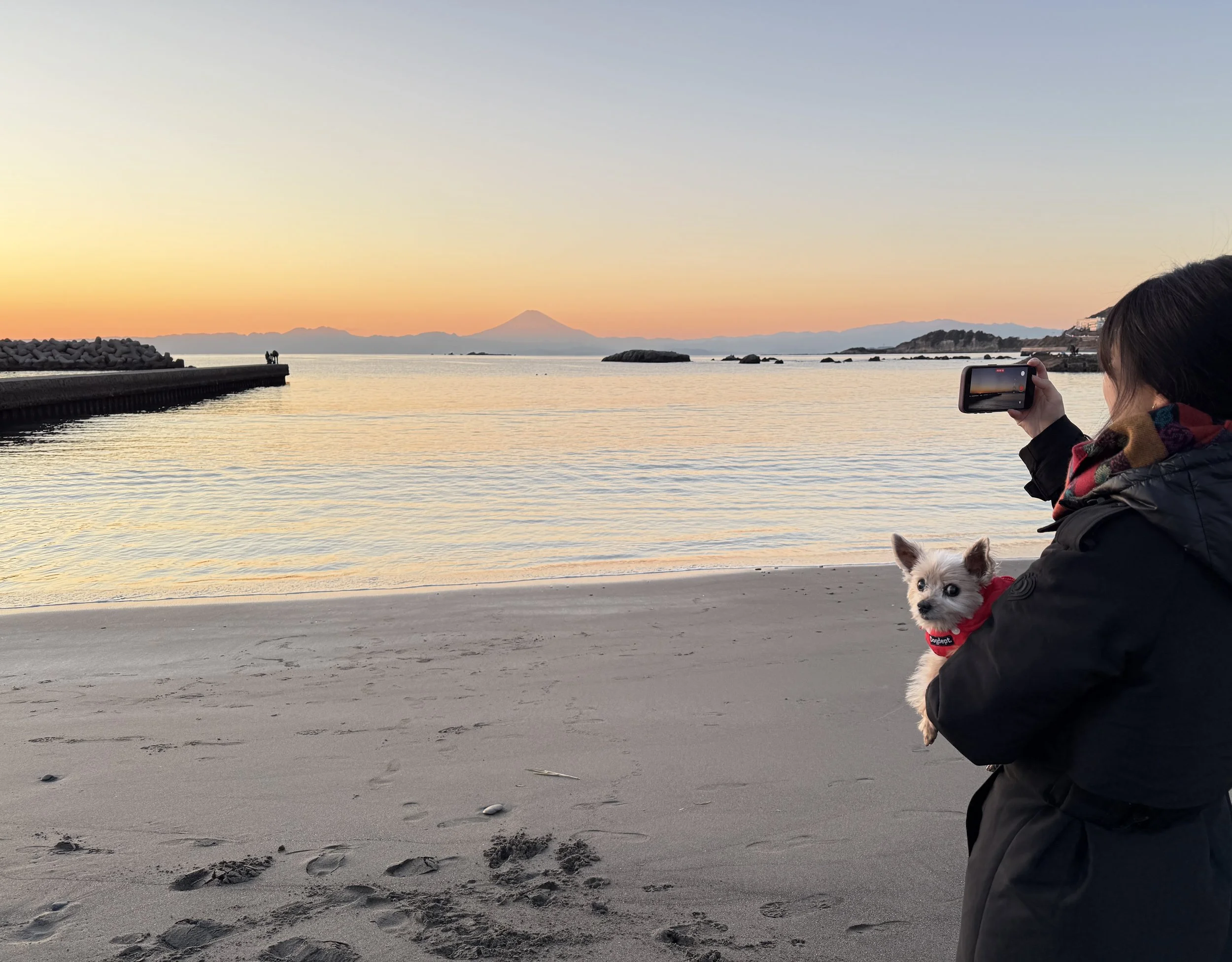 Who is Nanami? (ENG)