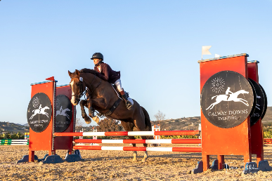 Screenshot 2026-03-16 at 9.54.53 AM.png