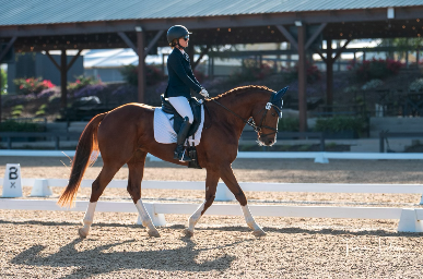 Screenshot 2026-03-16 at 9.54.24 AM.png