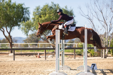 Screenshot 2026-03-16 at 9.55.39 AM.png