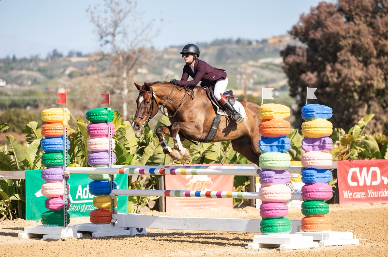 Screenshot 2026-03-16 at 9.55.21 AM.png