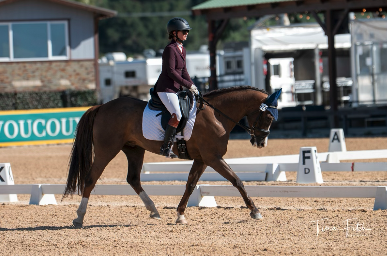 Screenshot 2026-03-16 at 9.54.41 AM.png