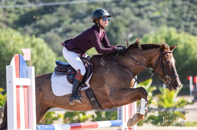 Screenshot 2026-03-16 at 9.55.07 AM.png