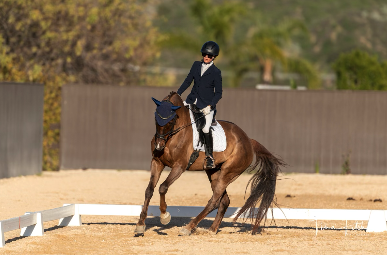 Screenshot 2026-03-16 at 9.54.06 AM.png