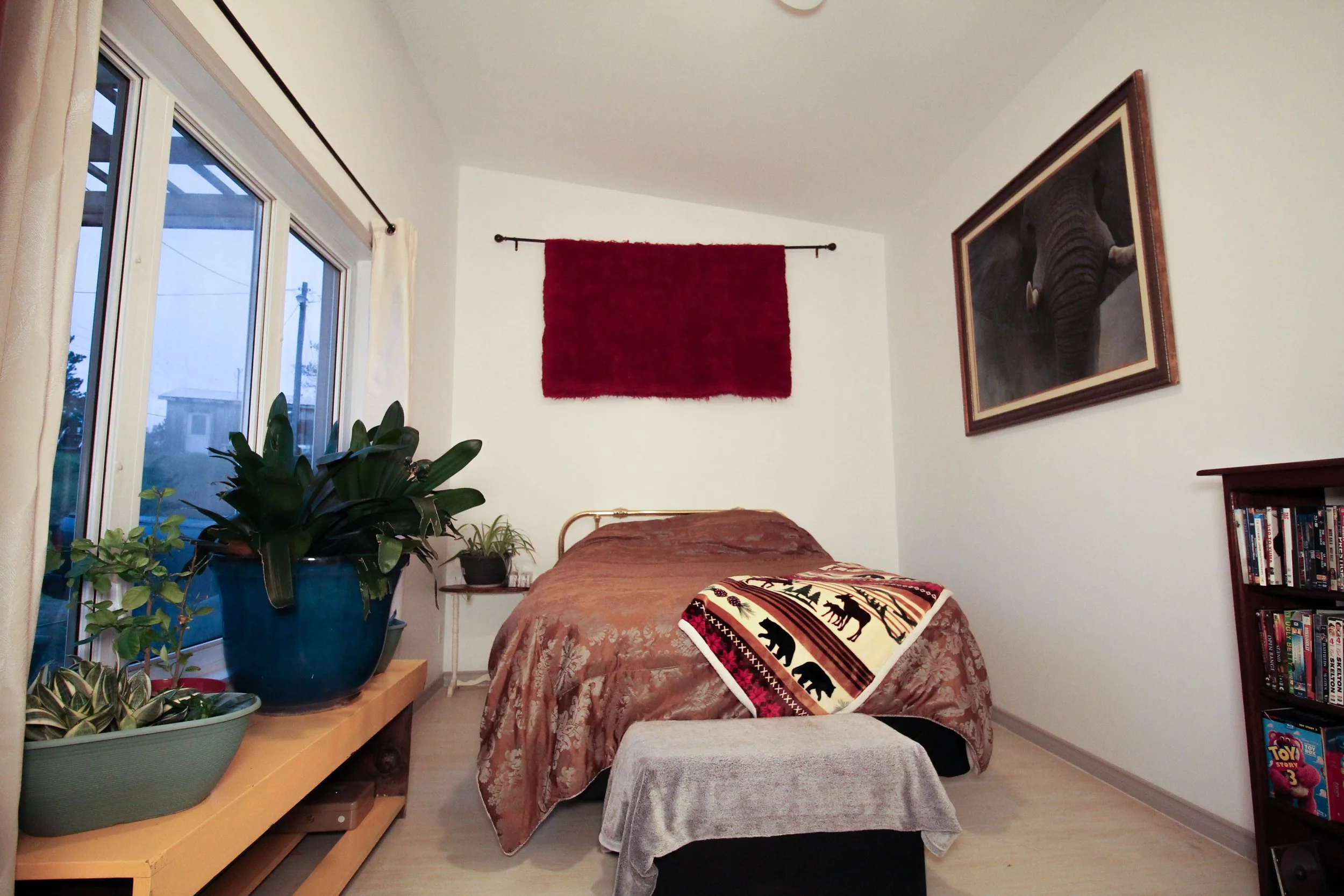 14 Plante (47 of 55).jpg