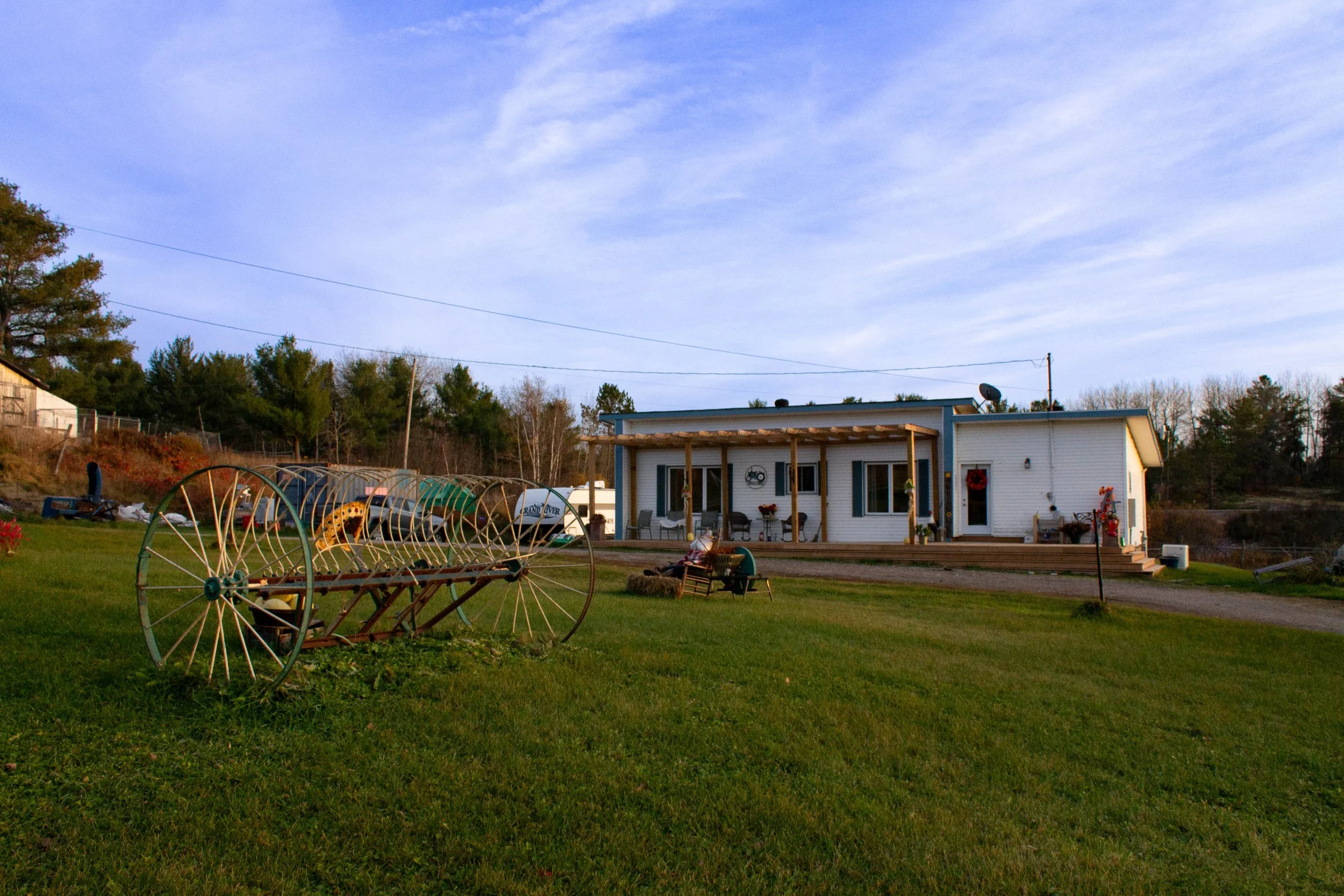 14 Plante (6 of 55).jpg