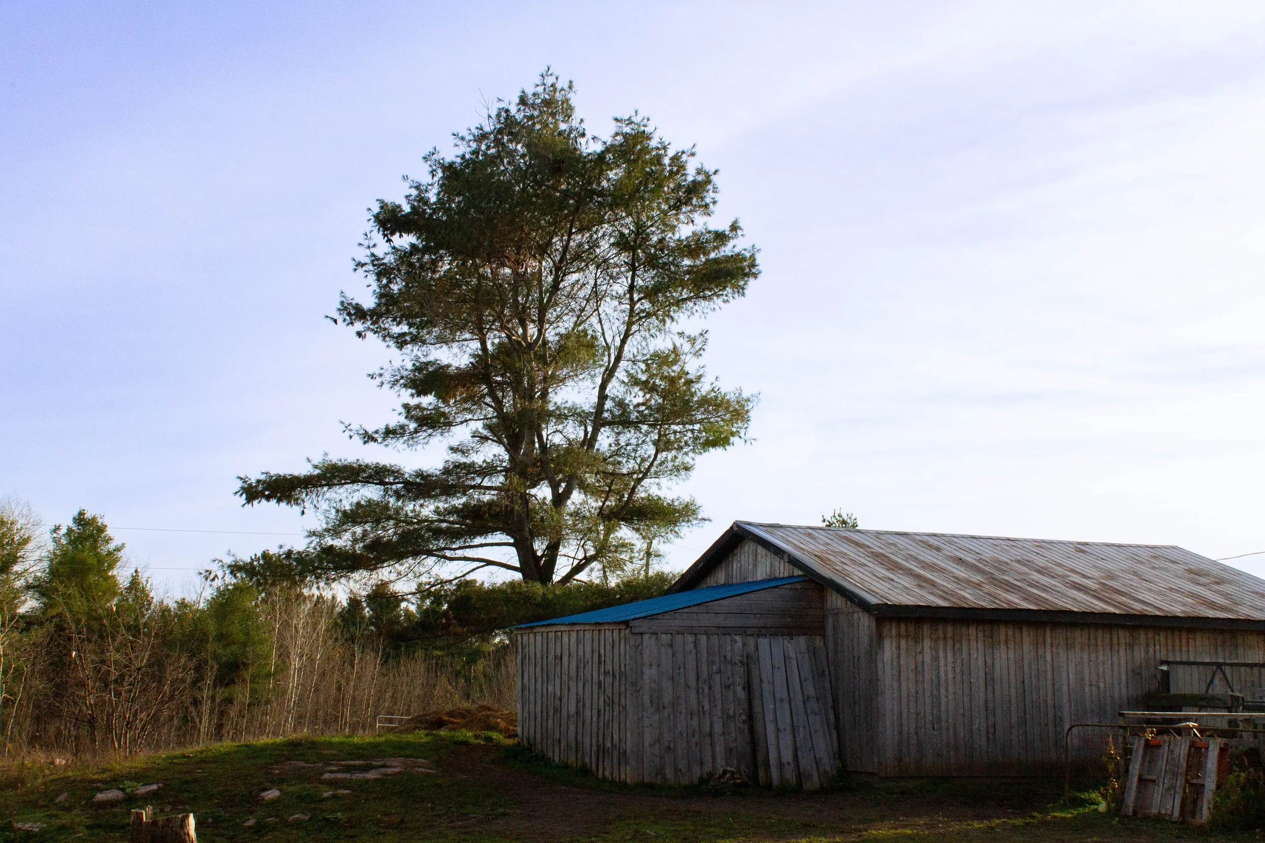 14 Plante (21 of 55).jpg