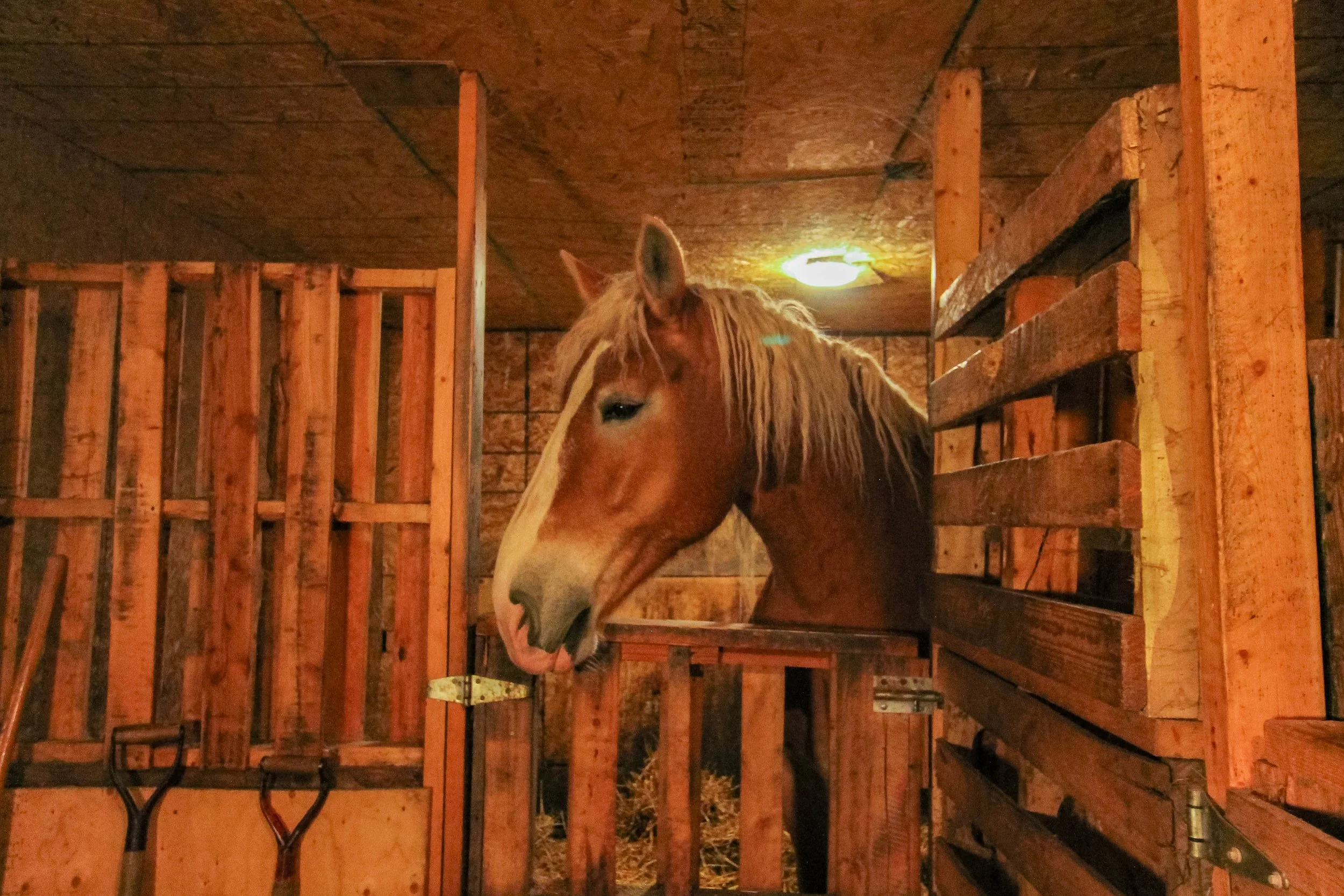 14 Plante (31 of 55).jpg