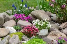 RVGC - The World of Rock Gardening - Joseph Gardens