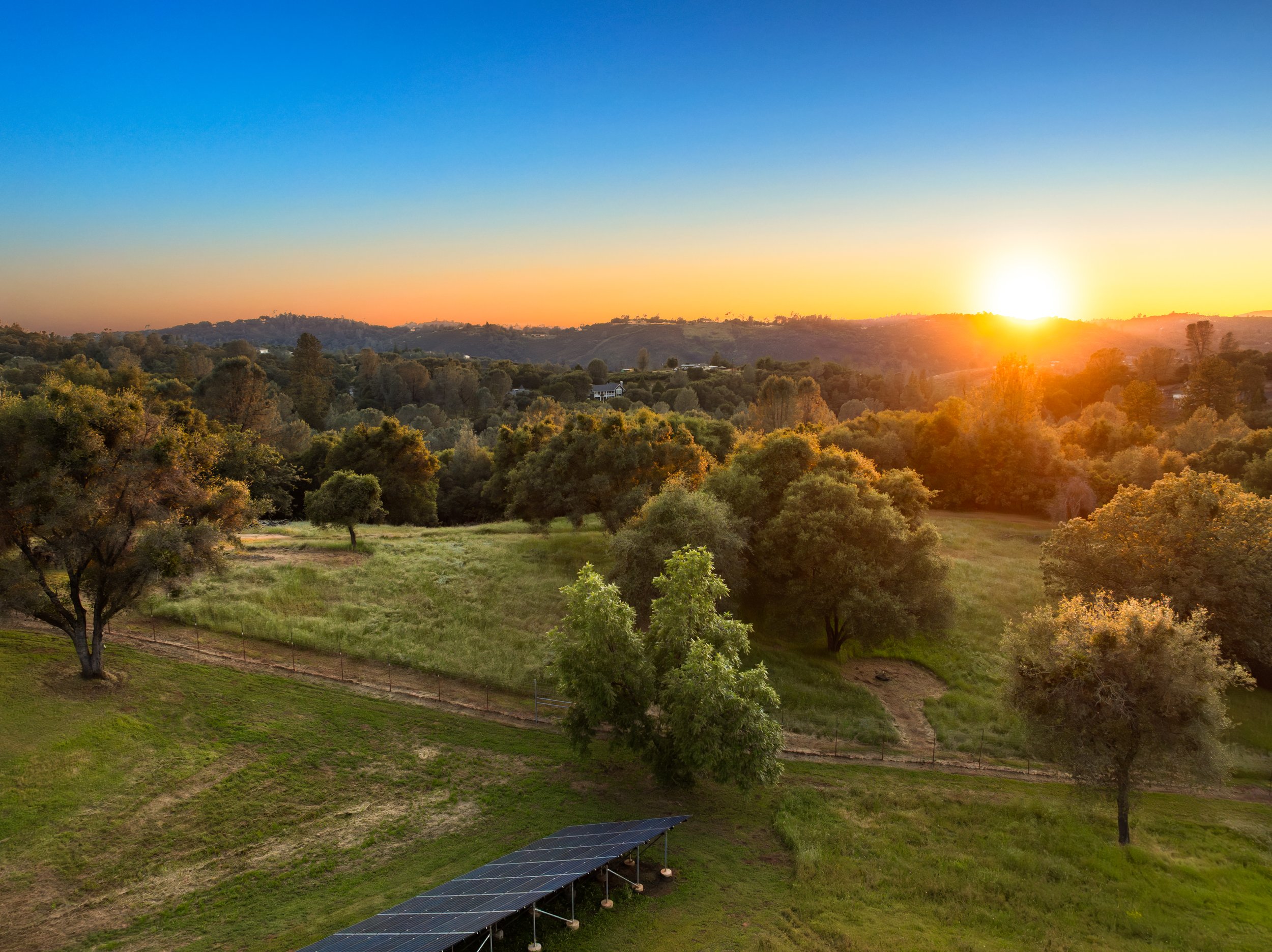 DJI_0366.jpg