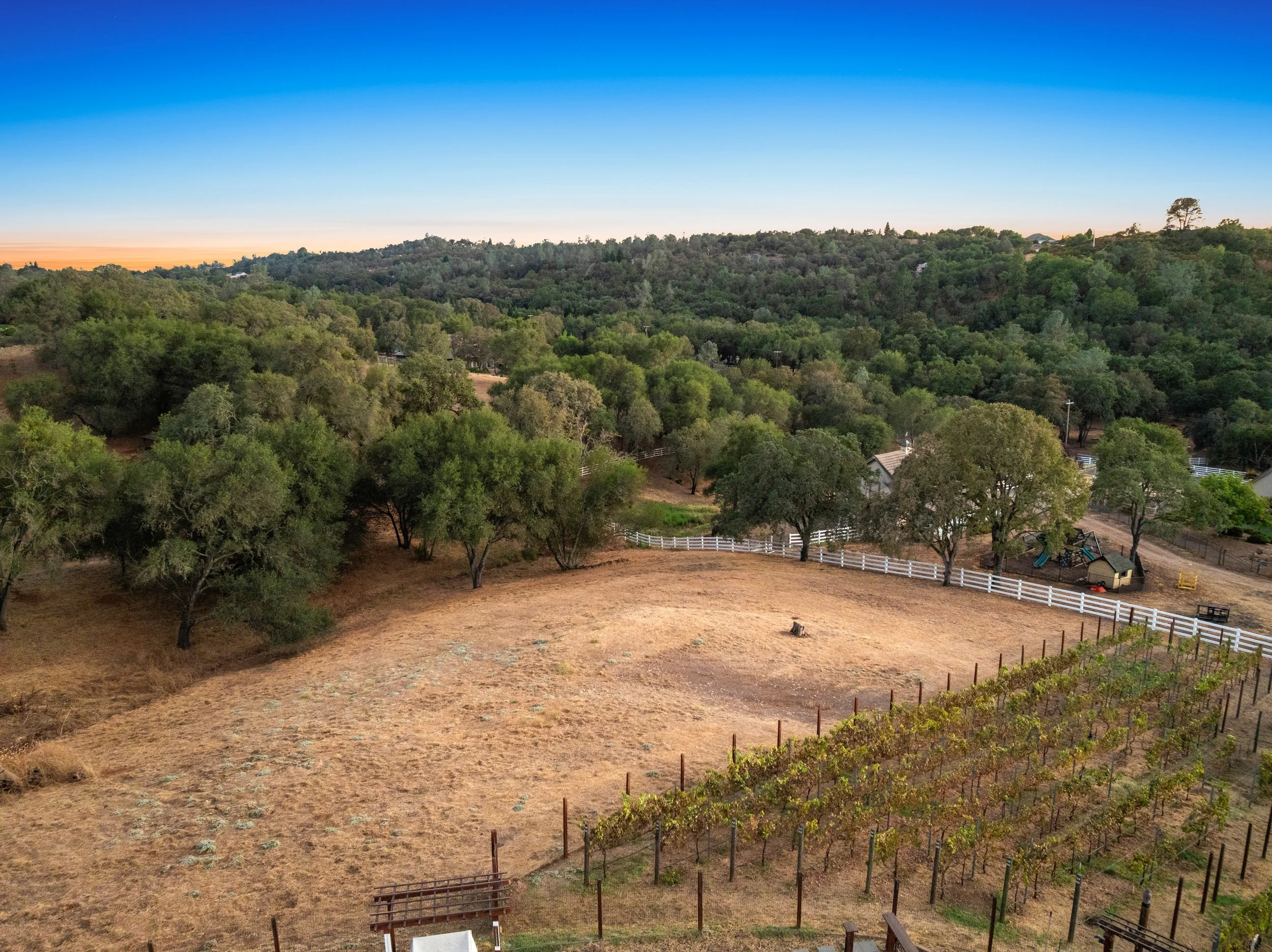 DJI_0013.jpg