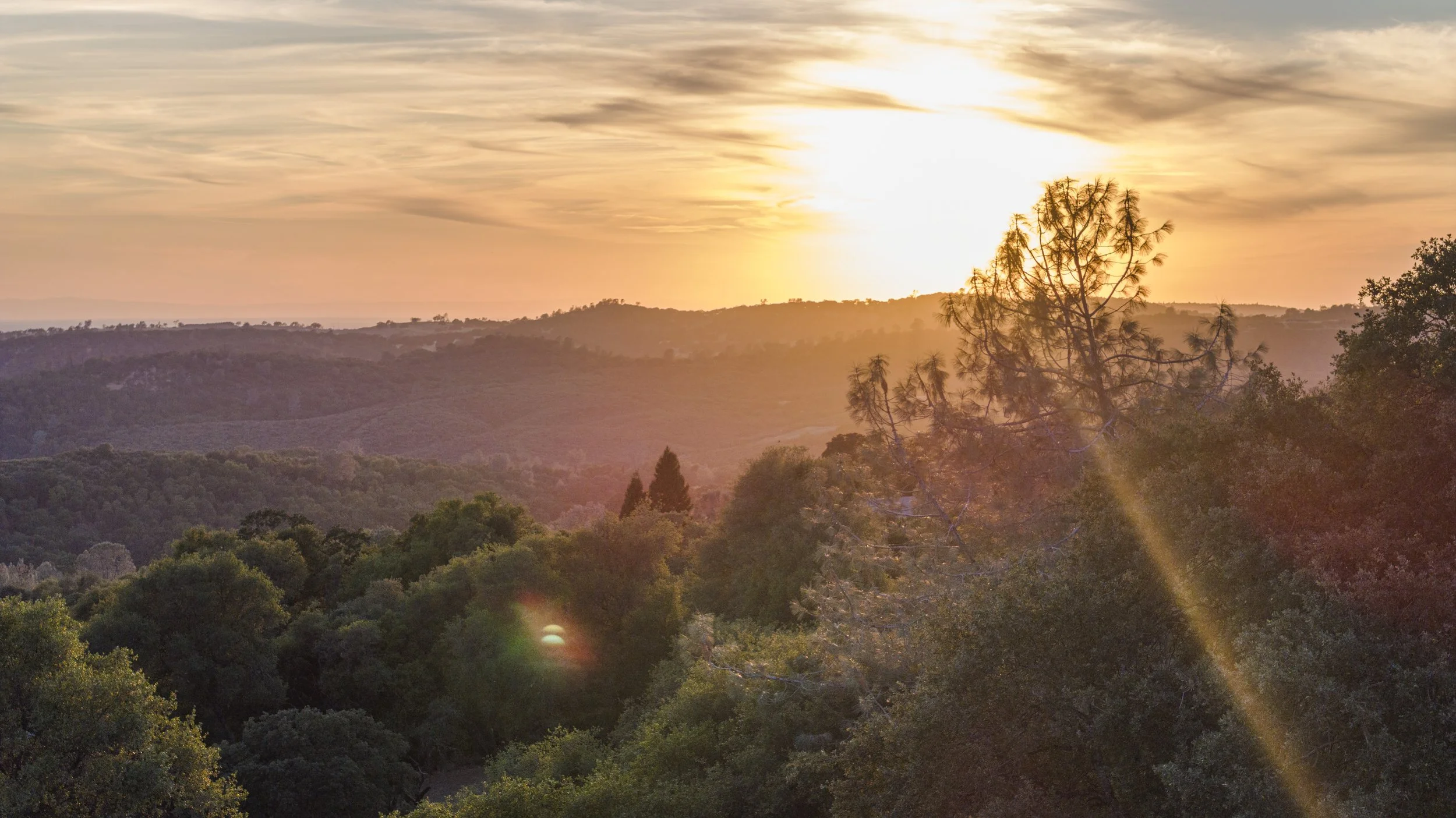 4356 Barnett Ranch Rd, Shingle Springs, CA 95682, USA-166.jpg