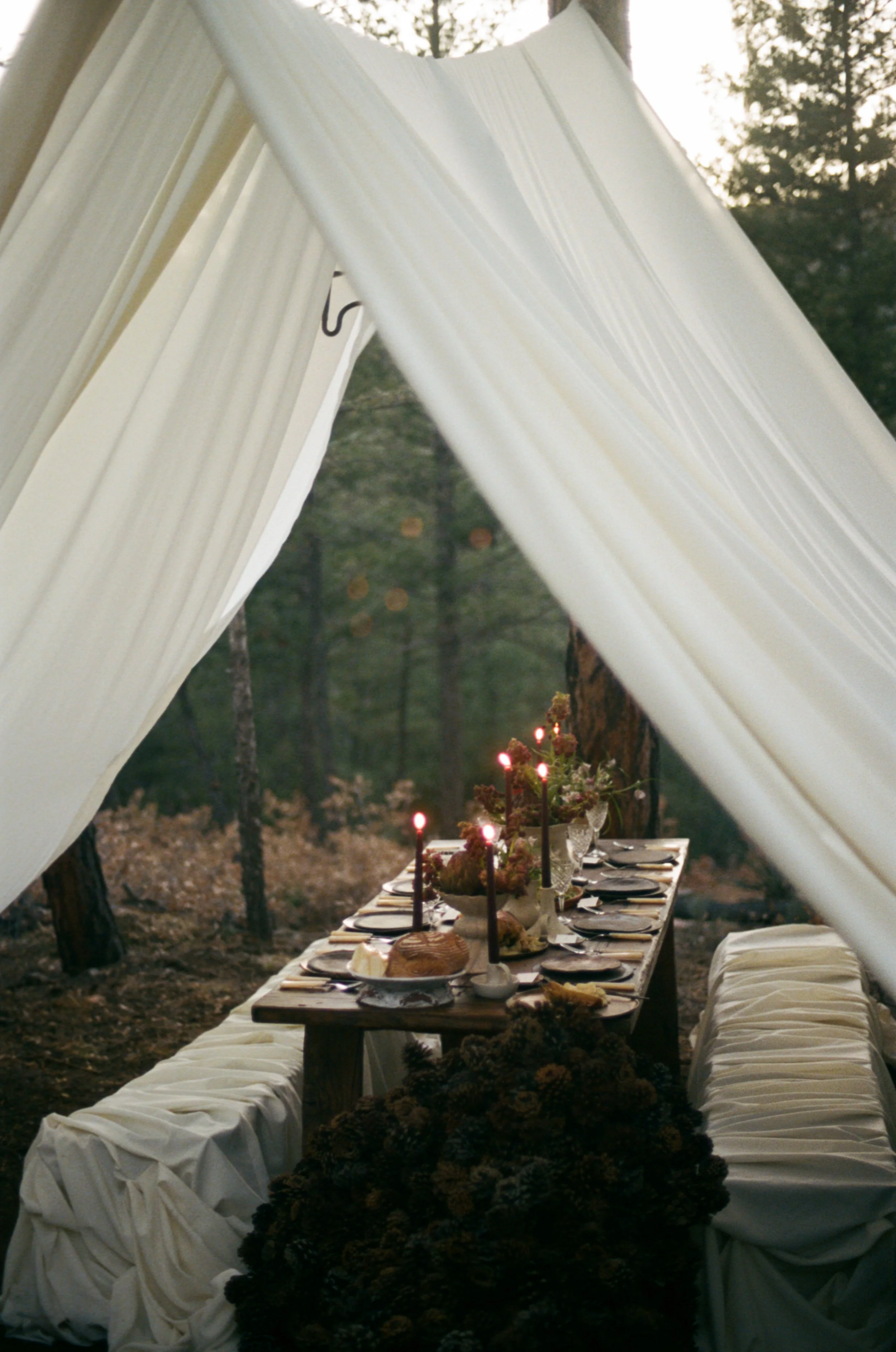 Ashley_David_New_Mexico_Intimate_Wedding_Audrey_Darke_Photography-42.jpg
