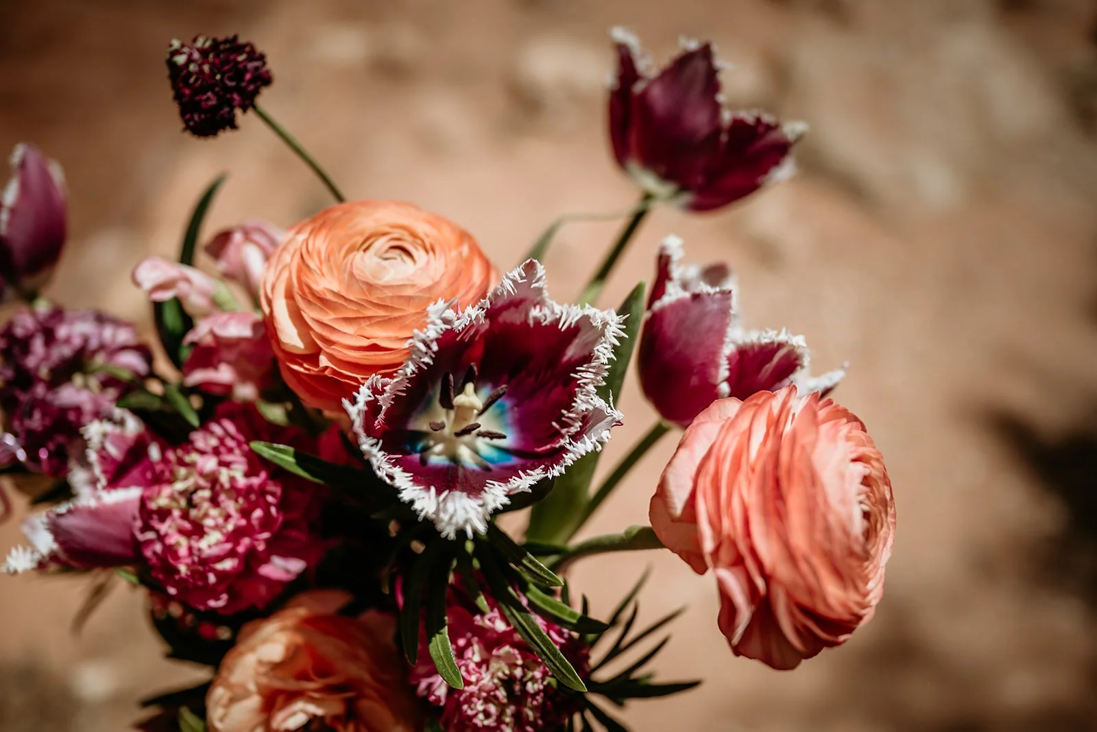 a+l-page-elopement-294.jpg