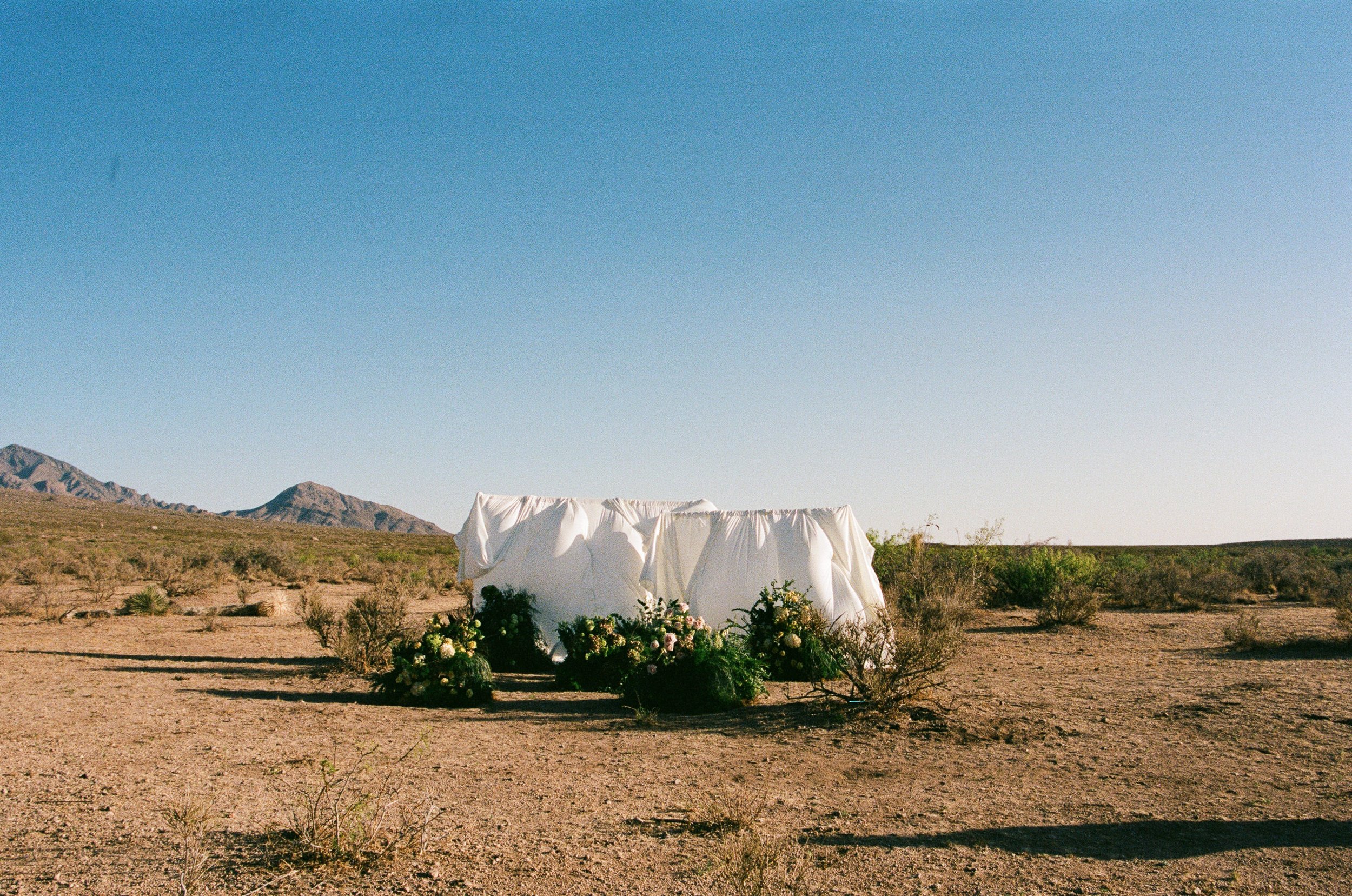 N_N_New_Mexico_Vow_Renewal_Audrey_Darke_Photography-28.jpg