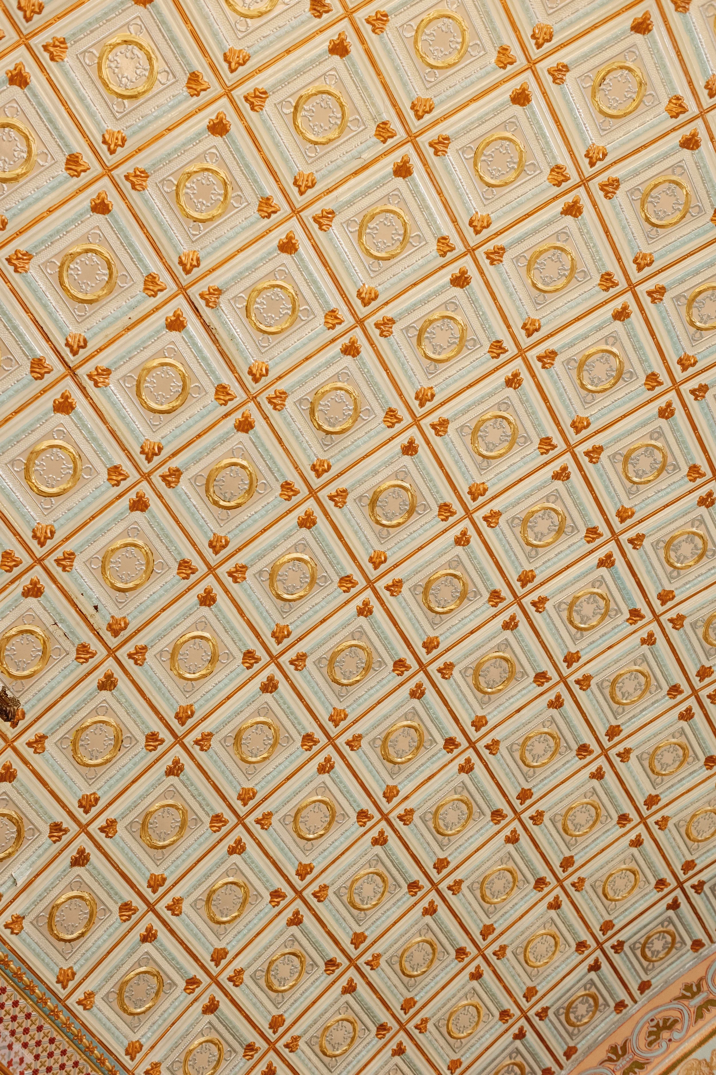 H93A4377.jpg