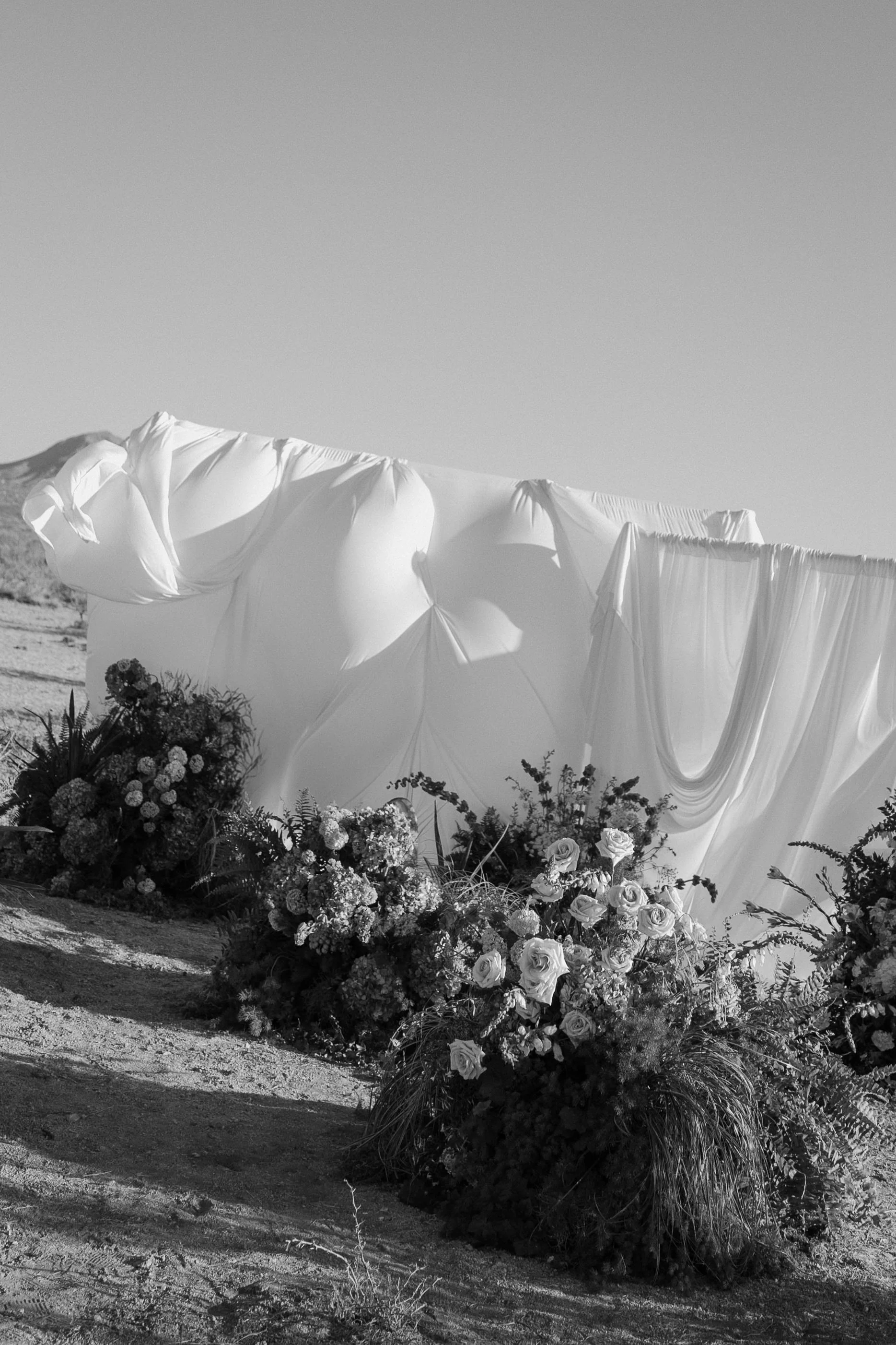 Natasha_Natalie_New_Mexico_Vow_Renewal_Audrey_Darke_Photography-7.jpg