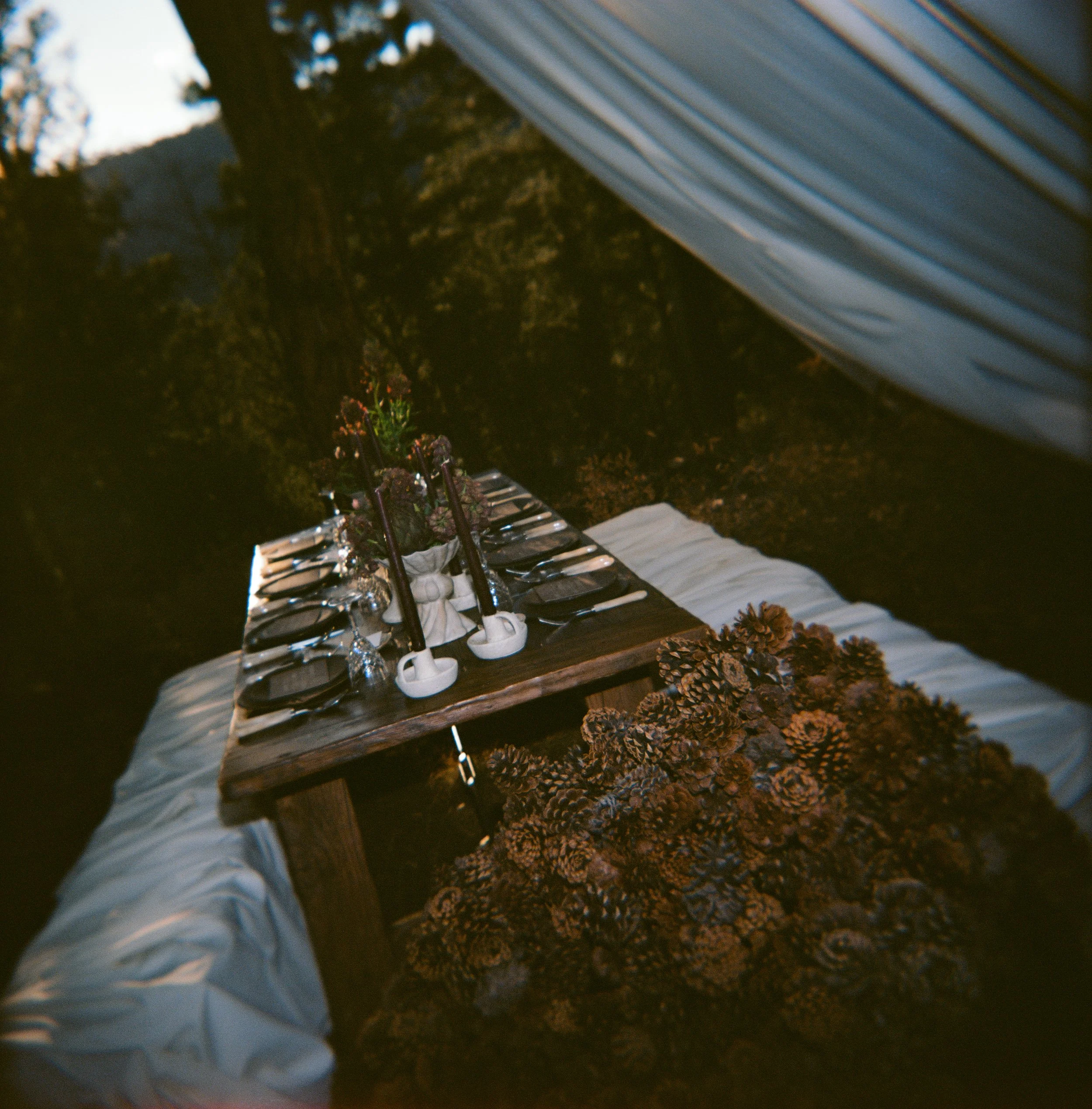 Ashley_David_New_Mexico_Intimate_Wedding_Audrey_Darke_Photography-2.jpg