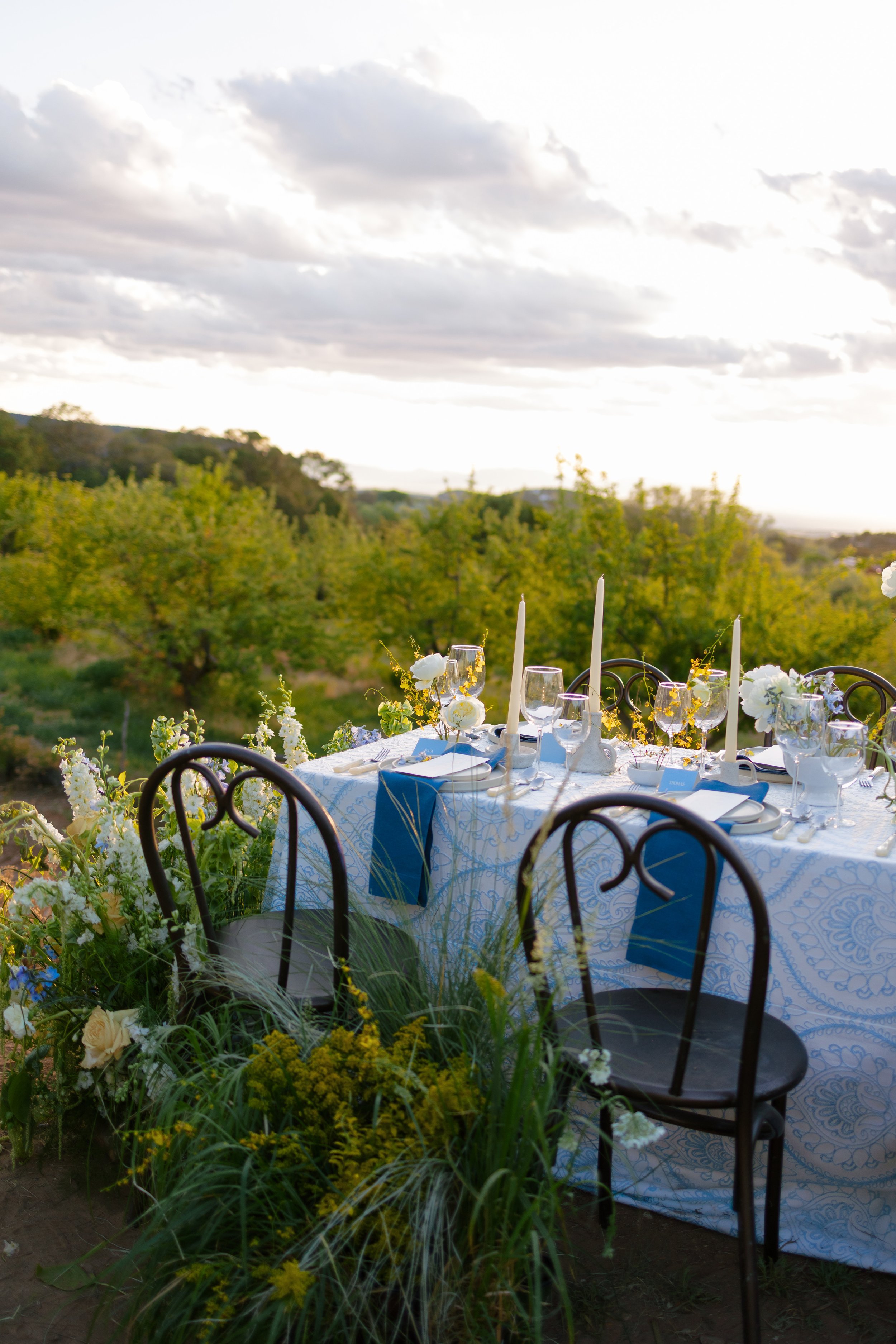 AX5A5078.jpg
