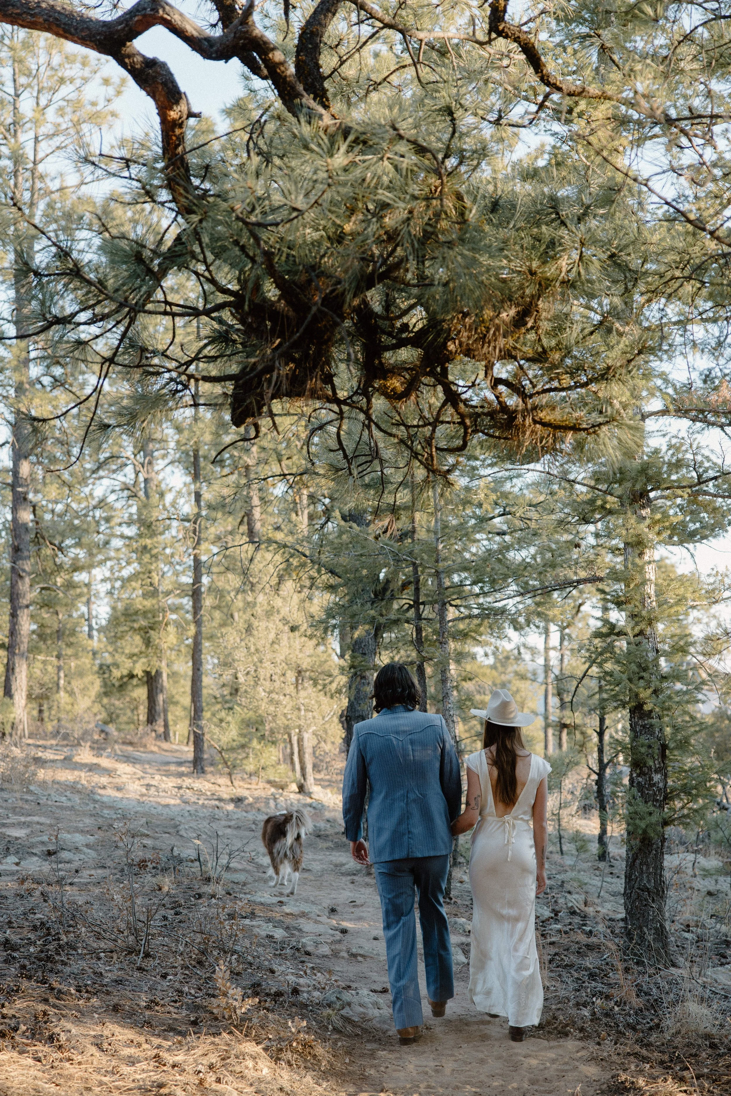 David_Ashley_Glorietta_New_Mexico_Intimate_Wedding_Audrey_Darke_Photography-99.jpg