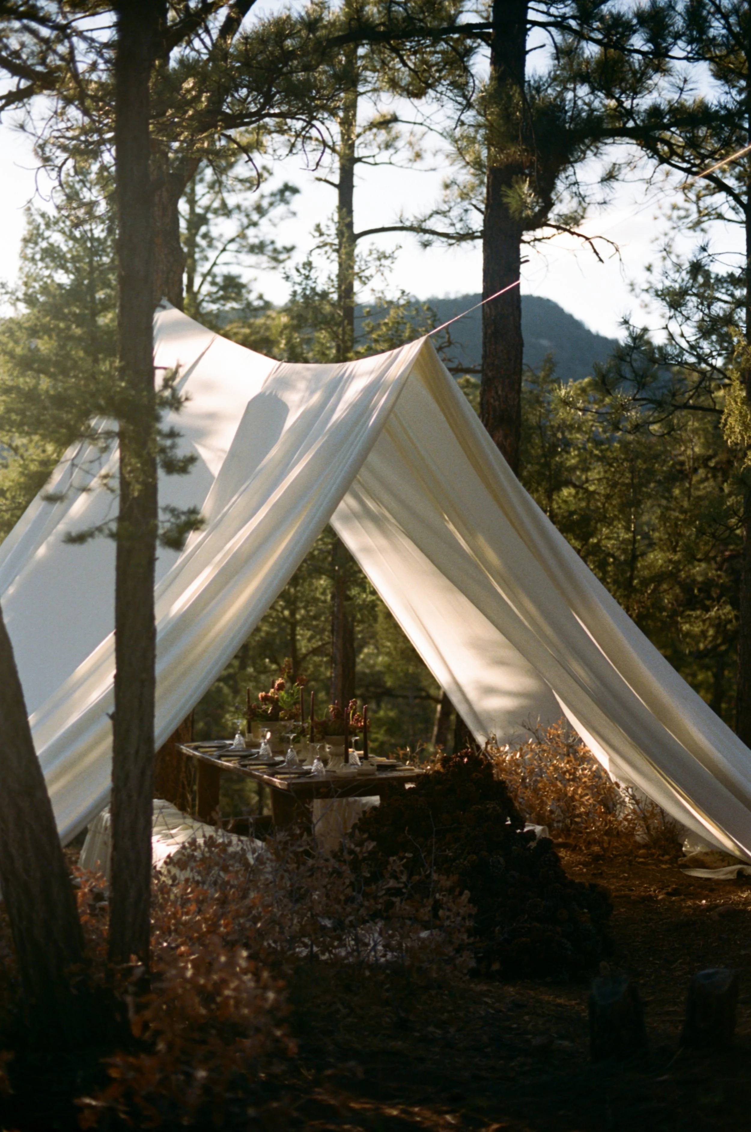 Ashley_David_New_Mexico_Intimate_Wedding_Audrey_Darke_Photography-35.jpg