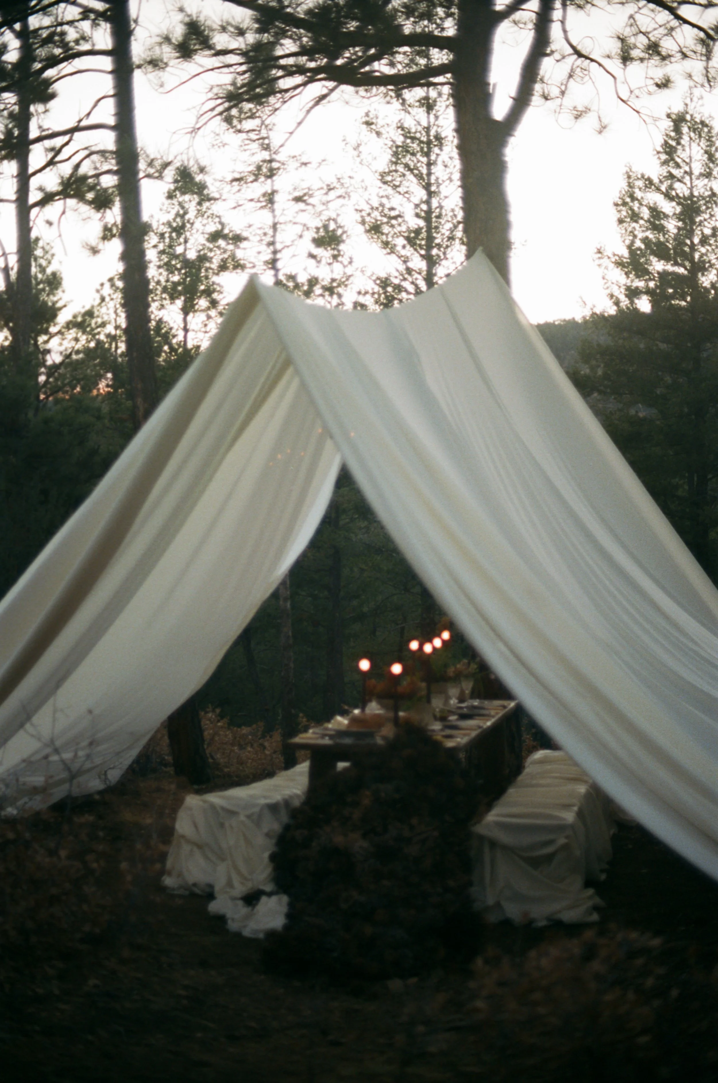 Ashley_David_New_Mexico_Intimate_Wedding_Audrey_Darke_Photography-43.jpg